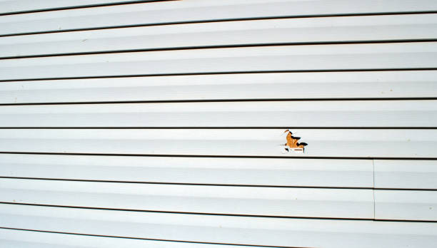 Best Aluminum Siding Installation  in Winterville, NC